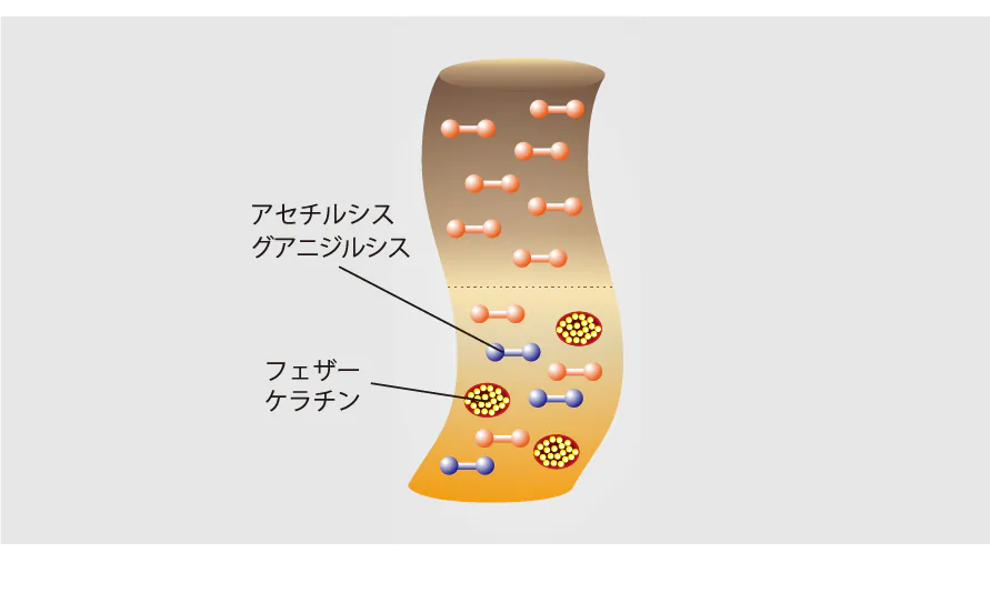 プロセス 01 前処理